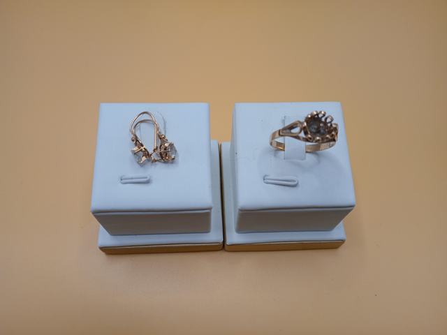Anillo- Par Aros — lote 238 del remate DICREP en Puerto Montt