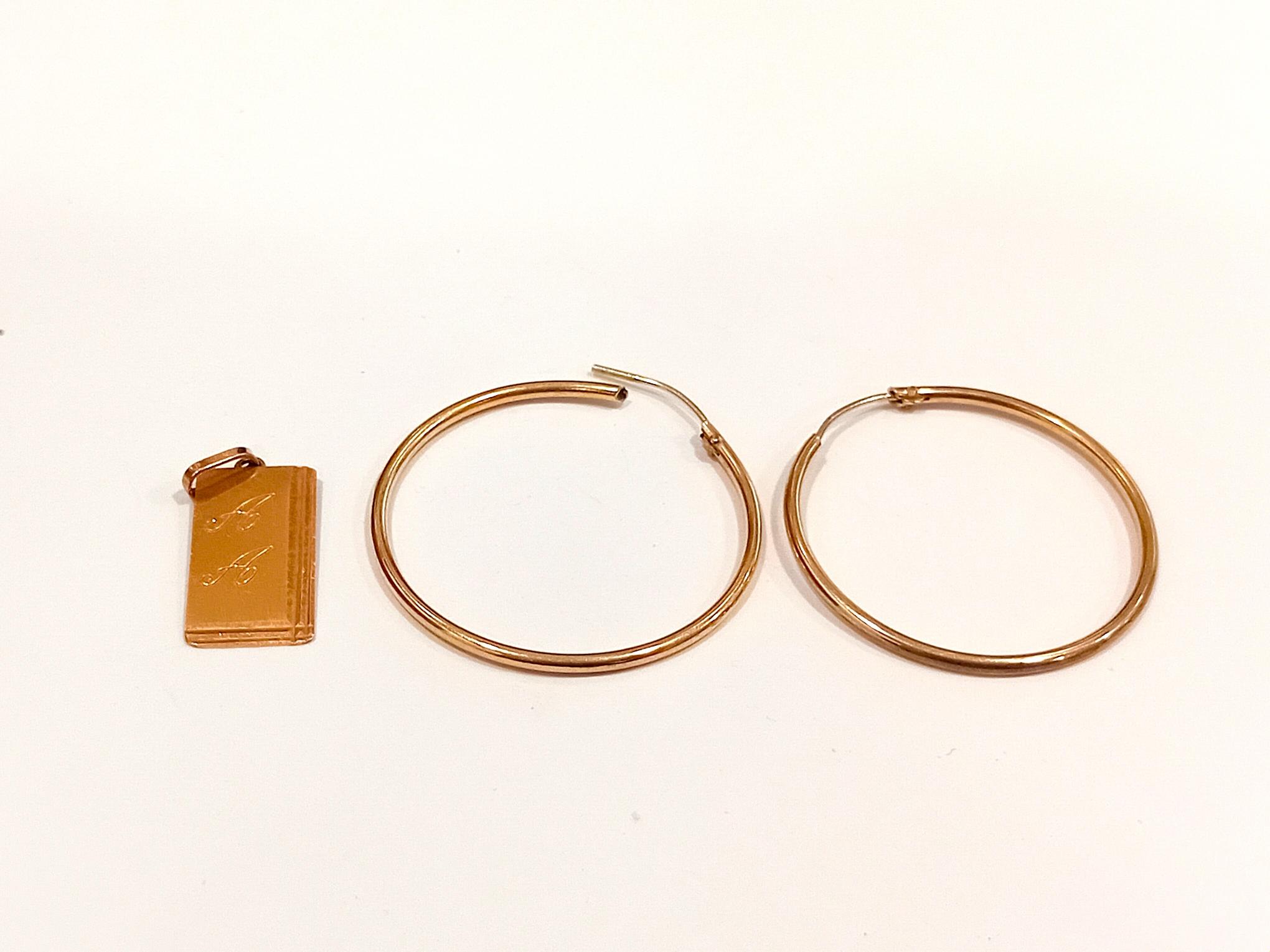 Par De Aros - Colgante — lote 199 del remate DICREP en Rancagua