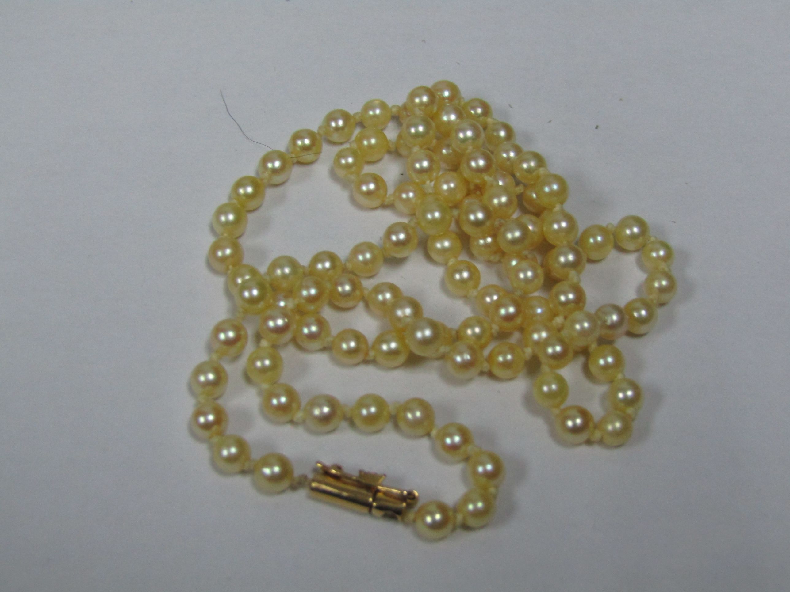 Collar — lote 104 del remate DICREP en Talca