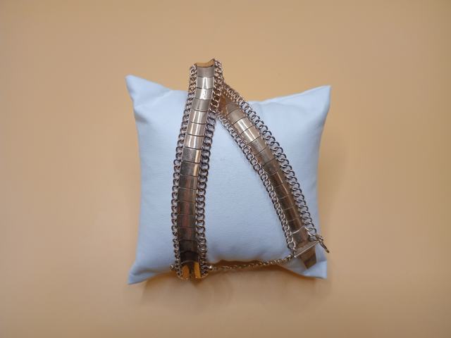 Pulsera — lote 263 del remate DICREP en Puerto Montt