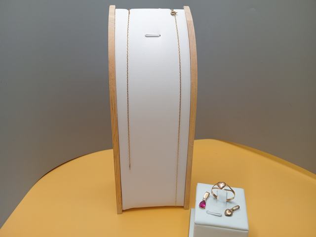 Anillo-2 Colgantes- Garg — lote 435 del remate DICREP en Puerto Montt