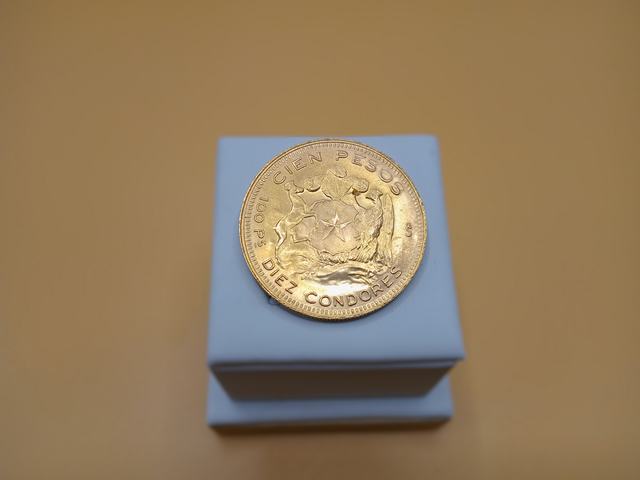 Moneda — lote 85 del remate DICREP en Puerto Montt