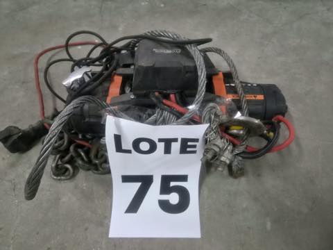 Especies — lote 75 del remate DICREP en Sryec