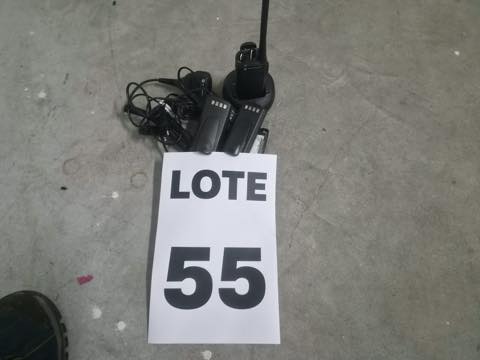 Especies — lote 55 del remate DICREP en Sryec