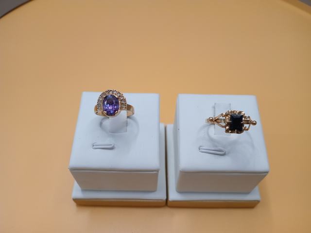2 Anillos — lote 448 del remate DICREP en Puerto Montt