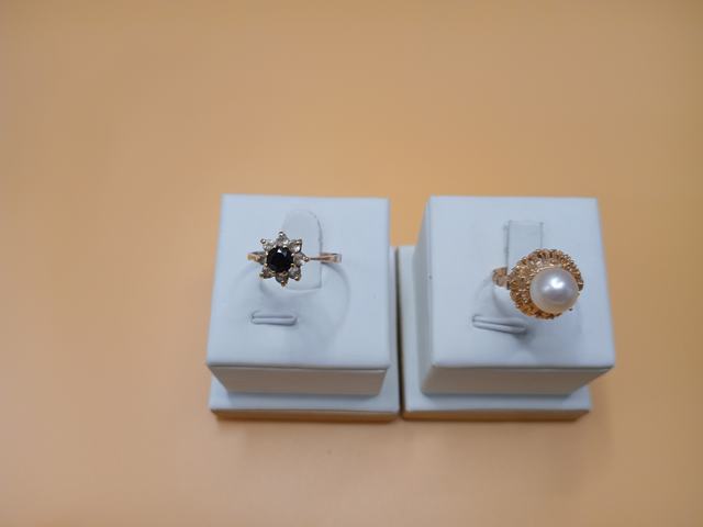 2 Anillos — lote 447 del remate DICREP en Puerto Montt
