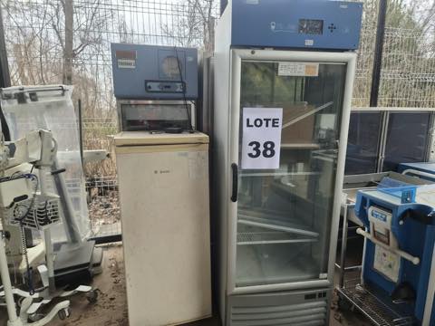 Especies — lote 38 del remate DICREP en Sryec