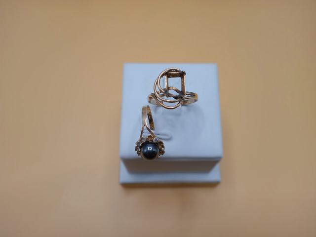 2 Anillos — lote 49 del remate DICREP en Puerto Montt