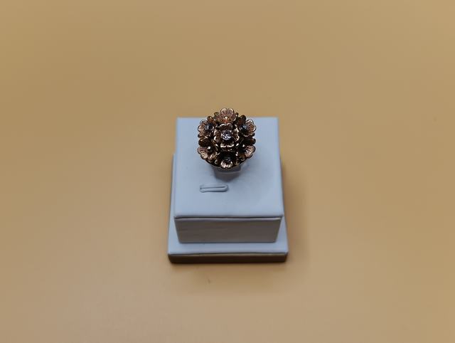 Anillo — lote 315 del remate DICREP en Puerto Montt
