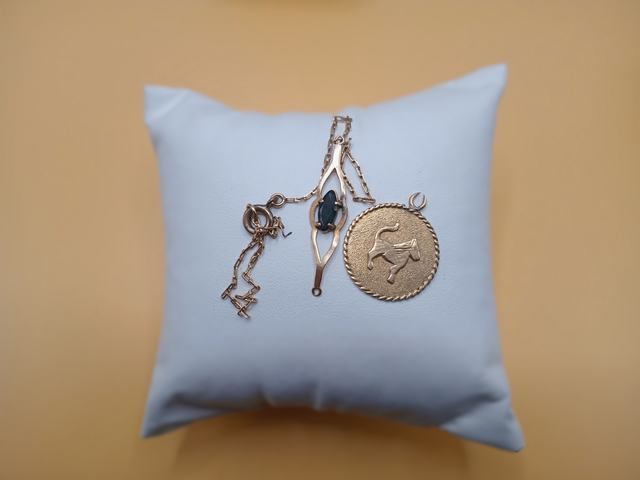 Golgante - Pulsera — lote 48 del remate DICREP en Puerto Montt